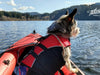 A dog in a red life vest enjoying a calm lake view from a Neris kayak