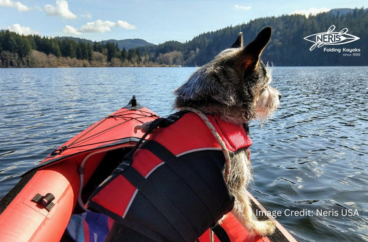 A dog in a red life vest enjoying a calm lake view from a Neris kayak